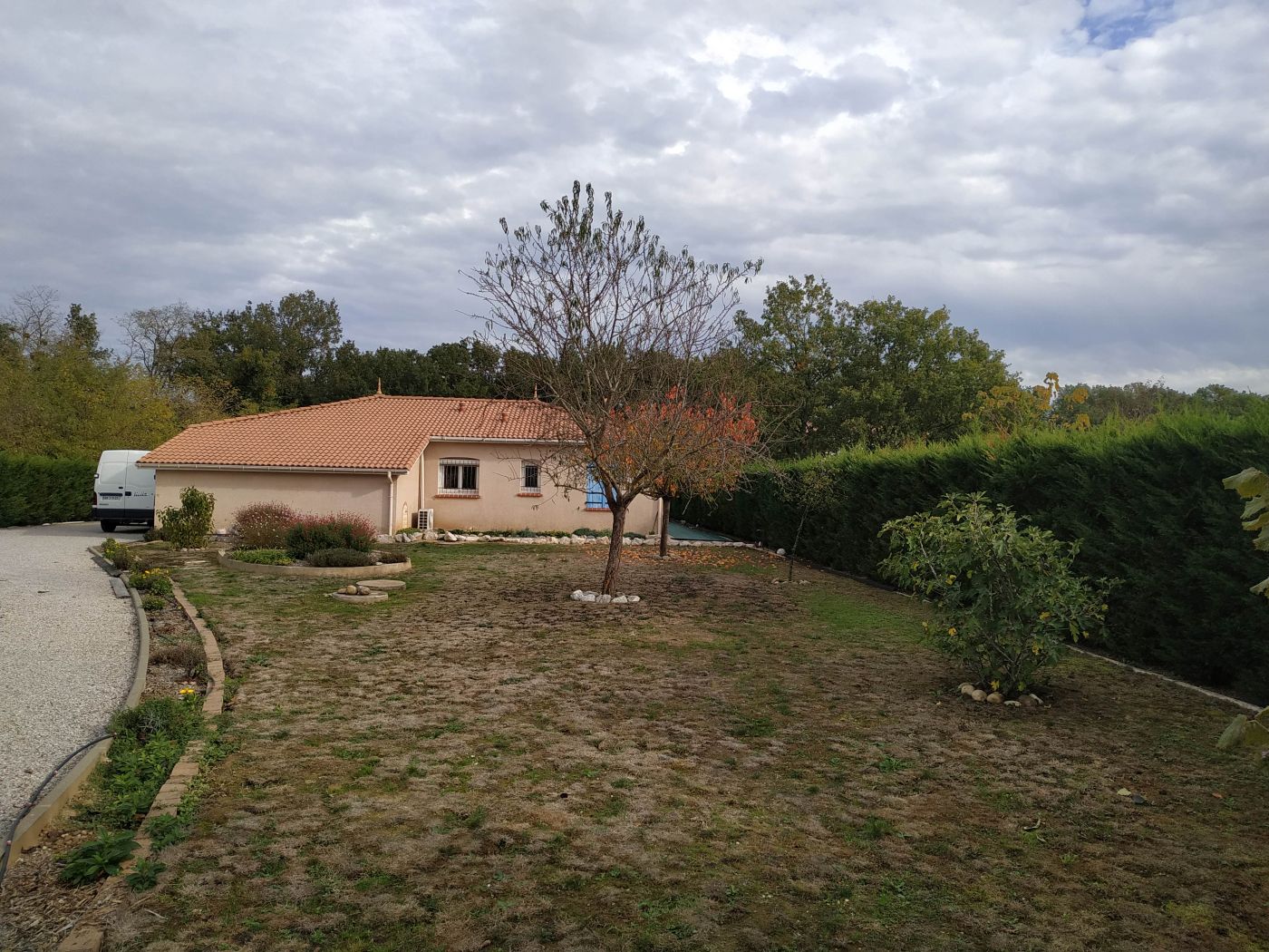 IMG 20221115 115303
